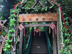 -西双版纳原始森林公园