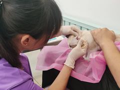 -北京观赏动物医院·24小时大型综合·猫专科·异宠专科