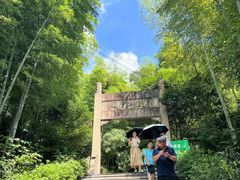 -紫金山山顶公园