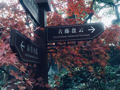 -绮园景区