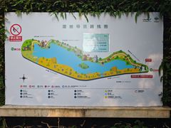 -华侨城湿地公园