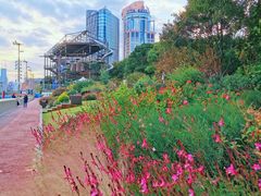 -北外滩滨江绿地
