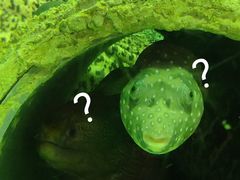-海合安成都极地海洋公园