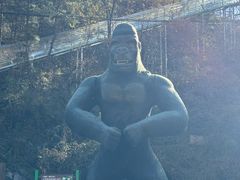 -栾川竹海野生动物园