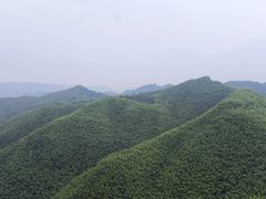 -四明山国家森林公园