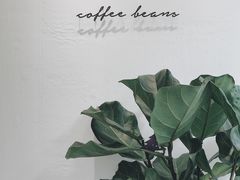 -red donkey coffee