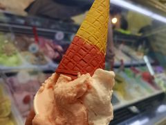 -柠檬车露(卖草地店)