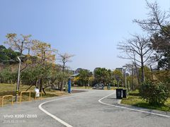 -飞凤山奥体公园