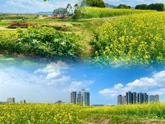 -光明小镇欢乐田园