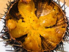 -海胆小馆(东北水饺·春柳店)