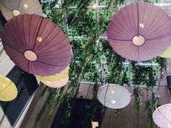 -同乐轩港式早茶