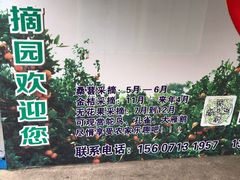 -武汉世外桃源农庄