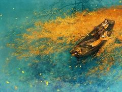 -膳当家黄焖鸡米饭(万达金街店)