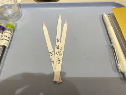 -觅香调香室(南锣鼓巷店)