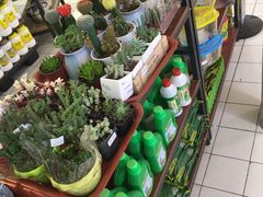 -北京华联生活超市(北京常营店)
