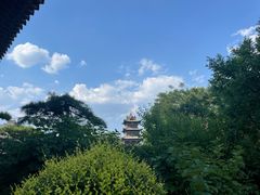 -迎泽公园