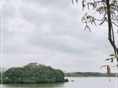 -海珠湖公园