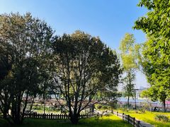 -莲花池公园