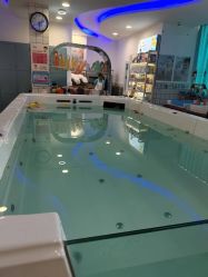 -登康贝比母婴生活(海伦国际店)