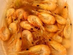 android_upload_pic-西新饭店(城中店)