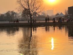 -西安浐灞国家湿地公园