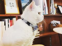 -彳亍咖啡·这里(水湾路店)