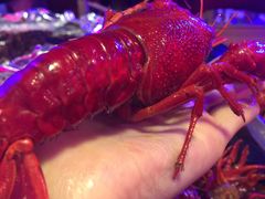 -南极·小龙虾·湘式拌饭(南街店)