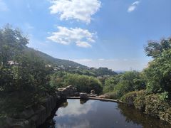 -徂徕山森林康养度假谷温泉