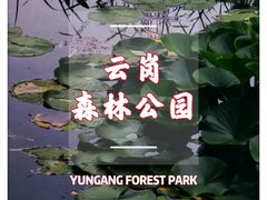 -云岗森林公园