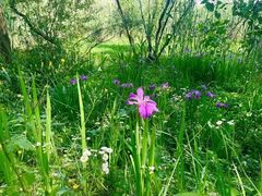 -西湖风景区-江洋畈生态公园