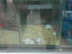 android_upload_pic-星辉电影公园(时代广场CC MALL店)