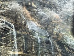 -陕西省红河谷森林公园