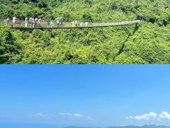 -亚龙湾热带天堂森林公园
