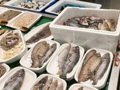 -码头鲜精致威海菜(欧乐坊店)