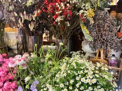 -知物癖(牛王庙店)