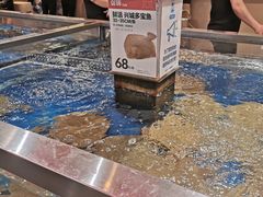 -盒马X会员店(王府井奥莱UP TOWN店)