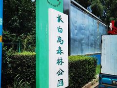 -长白岛森林公园