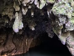 -怀托摩萤火虫洞