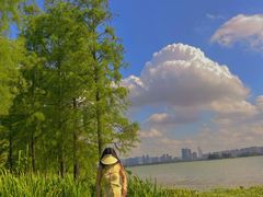 -无锡蠡湖国家湿地公园-蠡园