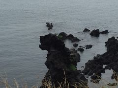 -龙头岩(Dragon Head Rock)