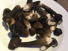 -千岛蚝高压锅生蚝·人参火锅(白云万达店)