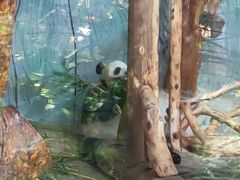 -海南热带野生动植物园