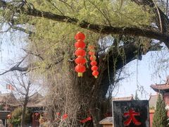 -大槐树寻根祭祖园