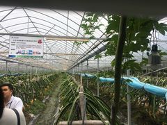 -米果果小镇