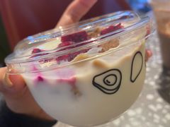 -油梨树AVOCADO TREE(嘉里中心店)