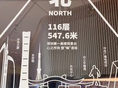 -平安金融中心云际观光层