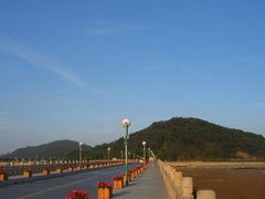 -野狸岛