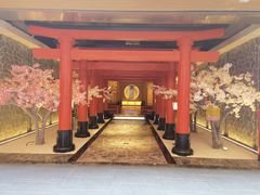 -蓝鲸湾汤泉(包河店)