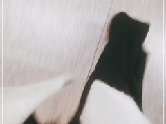 -常熟路(地铁站)