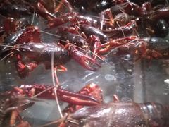 -小田油焖小龙虾(双井店)